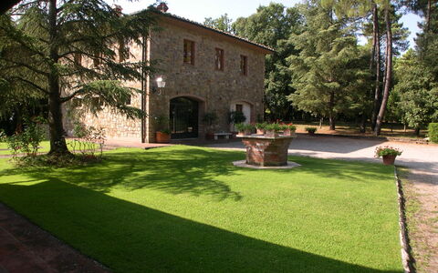 Villa Antonella: Struik, Tuin, Gazon, Hacienda, Werf, Schaduw, Landscaping, Backyard, Landgoed, Oprit