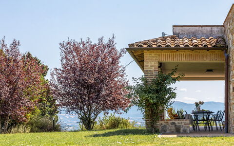 Il Pino Apartment: Natuurlijk Landschap, Struik, Heuvel, Land Lot, Weide, Tuin, Vallei, Landscaping, Ridge