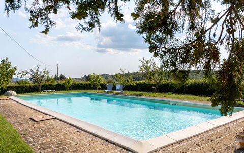 Il Pino Apartment: Zwembad, Samengesteld Materiaal, Toevlucht, Tuin, Schaduw, Waterpartij, Landscaping, Eco Hotel, Buitenmeubels, Backyard