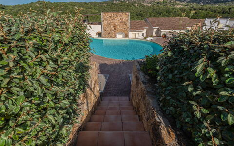 Baia Bianca Apartments Sardinia: Struik, Tuin, Stenen Muur, Haag, Landscaping, Backyard