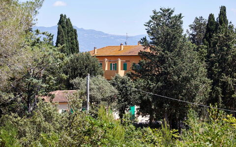 Poggio Cavallino Private Pool, Wifi, Maremma: Boom, Blad, Struik, Huis, Lariks, Evergreen, Pine Family