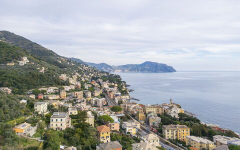 Casa Annalù With Garden, Wifi, Bogliasco: Bergachtig Landvormen, Kust, Woongebied, Stad, Kust En Oceanic Landvormen, Berg, Heuvel, Zee, Menselijke Nederzetting, Terrein
