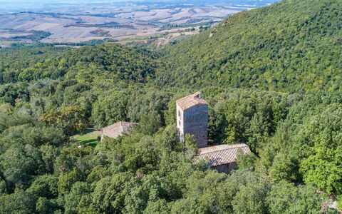 Villa Linchiano: Natuurlijke Omgeving, Natuur, Landschap, Woud, Jungle, Ruïnes, Kasteel, Valdiviaanse Gematigde Regenwoud