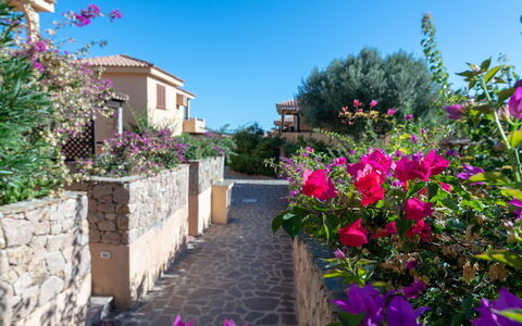 Golfo Aranci Apartments With Ac: Tuin, Landscaping, Villa, Hacienda, Wildflower, Balkon, Botanische Tuin, Eco Hotel, Badplaats
