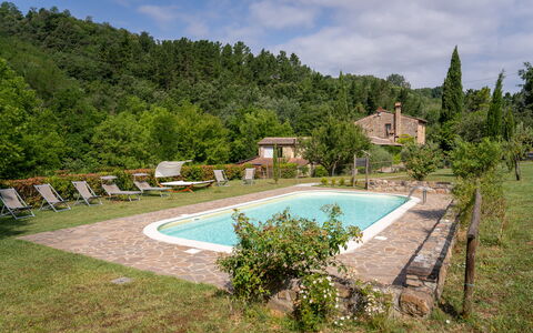 Montaione Country House Amarrante, Pool, Ac: Struik, Landelijk Gebied, Landgoed, Boerderij, Tuin, Verblijf, Hacienda, Eco Hotel, Landscaping