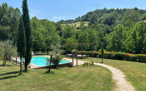 Montaione Country House Amarrante, Pool, Ac: Boom, Tuin, Gazon, Schaduw, Backyard, Werf, Zwembad, Park, Landscaping, Eco Hotel