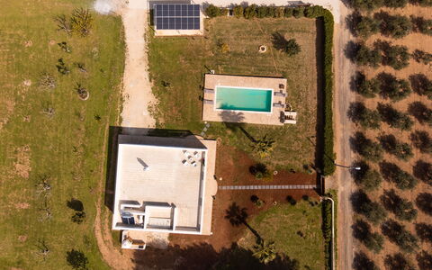 Villa Pallino: Woongebied, Landschap, Plain, Zwembad, Landgoed, Luchtfotografie, Vogelperspectief, Landscaping, Gazon, Ontwerp