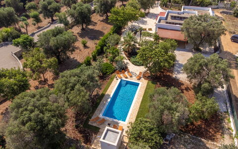 Villa San Vito: Boom, Landschap, Landgoed, Landscaping, Hacienda, Zwembad, Plantage, Luchtfotografie, Villa