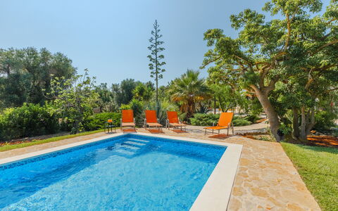 Villa San Vito: Blauw, Zwembad, Toevlucht, Tuin, Eco Hotel, Vrije Tijd, Landscaping, Schaduw, Buitenmeubels, Waterpartij