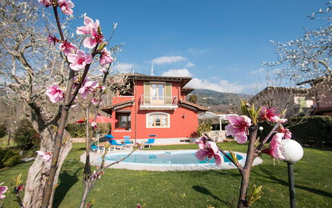 Villa Camaiore: Huis, Huis, Tuin, Gazon, Landgoed, Werf, Landscaping, Hacienda, Boerderij, Backyard