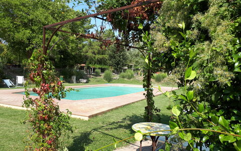 Appartamento Poggiolo, Wifi, Near Perugia: Struik, Tuin, Schaduw, De Lente, Backyard, Werf, Gazon, Landscaping, Bloempot