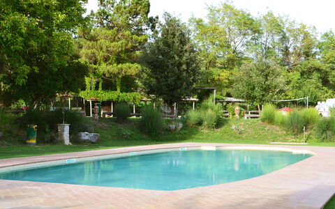 Appartamento Poggiolo, Wifi, Near Perugia: Zwembad, Boom, Toevlucht, Schaduw, Tuin, Buitenmeubels, Vrije Tijd, Backyard, Landscaping, Waterpartij
