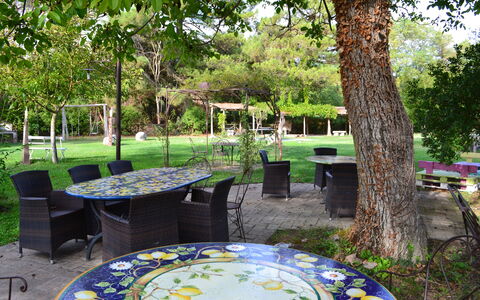 Appartamento Rustico, Wifi, Perugia: Meubilair, Tafel, Buitenmeubels, Stoel, Tuin, Buitentafel, Schaduw, Gazon, De Lente, Backyard