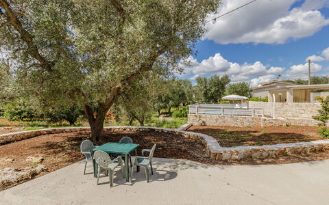 Trullo Quattro Carrini: Tuin, Schaduw, Landgoed, Landscaping, Backyard
