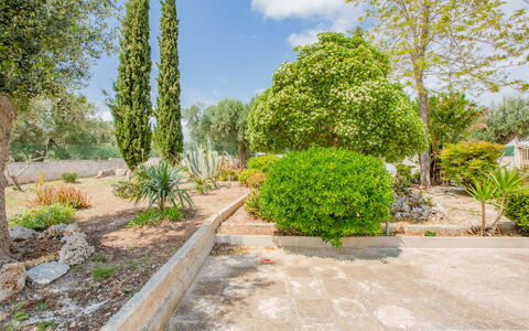 Villa Vera: Struik, Tuin, Plantengemeenschap, Groundcover, Woody Plant, Landscaping, Botanische Tuin, Gang, Schaduw