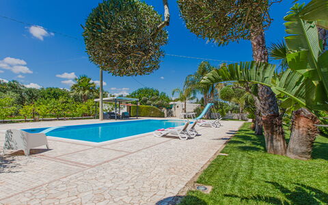 Trullo Poggio Con Piscina: Blauw, Boom, Zwembad, Toevlucht, Schaduw, Eco Hotel, Landscaping, Vrije Tijd, Tropen