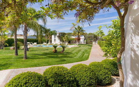 Ville Poggioreale: Blauw, Boom, Tuin, Struik, Landschap, Gazon, Schaduw, Landscaping, Werf