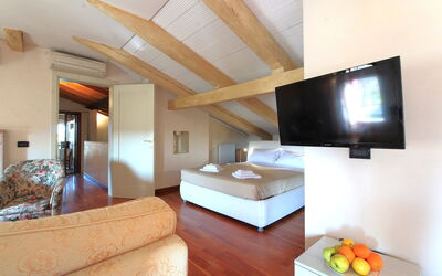 Accommodatie:&nbsp;Terrace Apartment