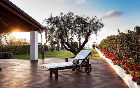Cala Marina: Schaduw, Tuin, Gazon, Landscaping, Werf, Buitenmeubels, Outdoor Structuur, Eco Hotel, Backyard, Villa