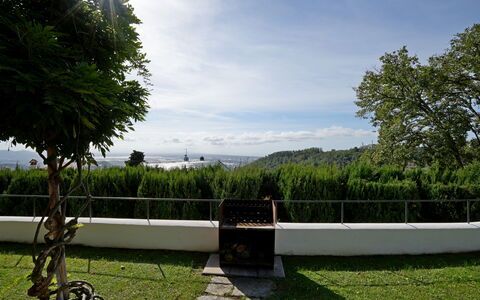 Villa Corsanico: Zonlicht, Tuin, Gazon, Schaduw, Landscaping, Evergreen, Park