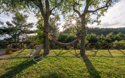 Villa Argentina: Afdeling, Hout, Meubilair, Landschap, Trunk, Zonlicht, Schaduw, Tuin, Buitenmeubels, Takje