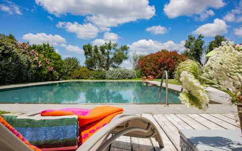 Villa Flaminia: Water, Zwembad, Buitenmeubels, Struik, Tuin, Meubilair, Stoel, Toevlucht, Vrije Tijd, Eco Hotel