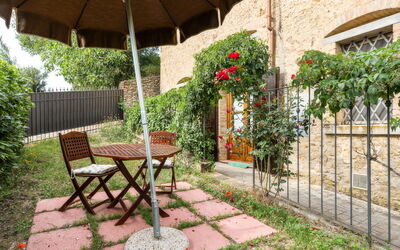 Accommodatie:&nbsp;Owl