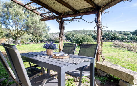 Accommodatie:&nbsp;Libeccio 62.1
