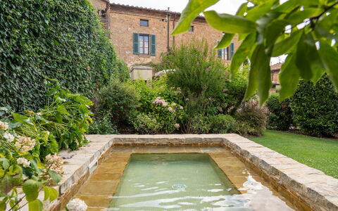 Town House Garden: Struik, Tuin, Waterpartij, Landscaping, Backyard, Haag, Binnenplaats, Zwembad, Flagstone, Botanische Tuin