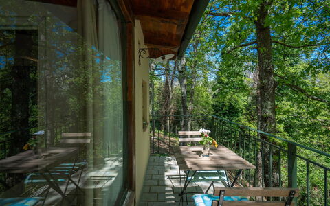 Grace Home, Pool, Wifi, Gambassi Terme: Hout, Meubilair, Woud, Stoel, Veranda, Natuurgebied, Jungle, Hardwood, Schaduw, Zonlicht