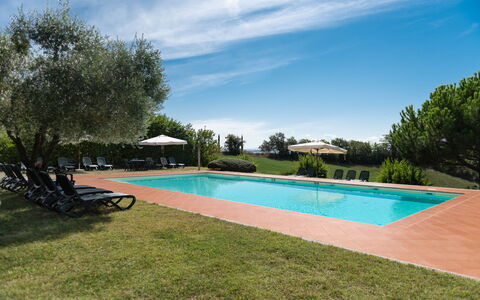 Country House In Tuscan Hills: Landgoed, Zwembad, Hacienda, Landscaping, Toevlucht, Plantage, Eco Hotel, Villa, Boerderij
