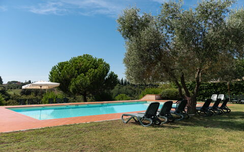 Green Hill Apartment In Tuscan Countryside: Zwembad, Toevlucht, Hacienda, Tuin, Landgoed, Landscaping, Eco Hotel, Schaduw, Buitenmeubels, Villa
