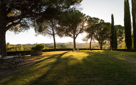 Green Hill Apartment In Tuscan Countryside: Boom, Gras, Natuur, Blad, Afdeling, Landschap, Land Lot, Plain, Trunk, Zonlicht