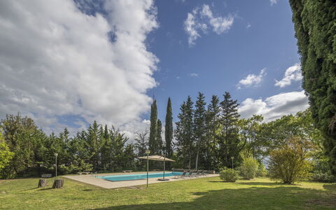 Cottage Monti Pet Friendly With Shared Pool: Boom, Land Lot, Schaduw, Lariks, Landscaping, Evergreen, Zwembad, Pine Family