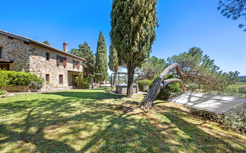 Capanna al Lago, Chianti Heritage in Vineyards: Boom, Tuin, Landgoed, Landscaping, Boerderij, Villa, Evergreen, Pine Family