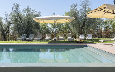 Villa del Mangia - Luxury Villa with Infinity Pool: Zwembad, Toevlucht, Buitenmeubels, Schaduw, Tuin, Ligstoel, Eco Hotel, Landscaping, Gazon, Stoel