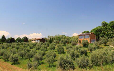 Villa Montello Pool, Jacuzzi, Ac, Wifi, Treviso: Boom, Gras, Struik, Huis, Landelijk Gebied, Land Lot, Huis, Plantengemeenschap, Verblijf