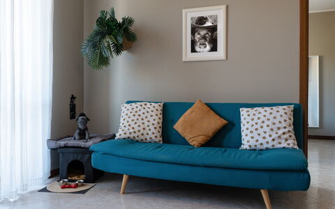 La Casa del Saggio: Meubilair, Interieur Ontwerp, Kussen, Bankstel, Verdieping, Flooring, Textiel, Kussen Gooien, Woonkamer, Kamer