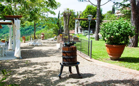Agriturismo Casa Da Pietro: Meubilair, Tuin, Buitenmeubels, De Lente, Bloempot, Schaduw, Backyard, Werf, Landscaping
