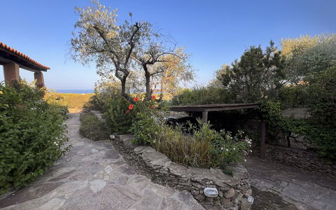 Villetta Oasi Belvedere, Budoni, Wifi, Ac: Struik, Tuin, Landscaping, Backyard, Flagstone, Bloempot