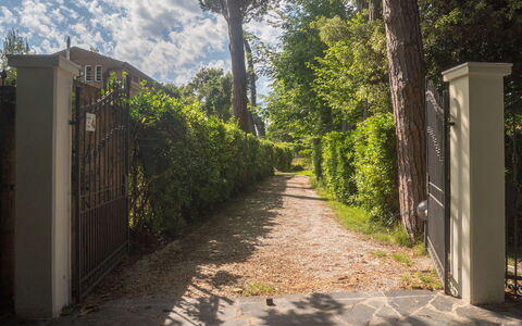 Casa Carla: Blad, Groen, Natuur, Vegetation, Struik, Tuin, Zonlicht, Schaduw, De Lente, Trail