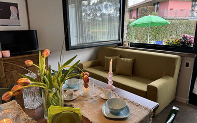 Alfa 1: Hout, Interieur Ontwerp, Meubilair, Flooring, Kamer, Woonkamer, Bankstel, Kamerplant, Koffietafel