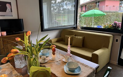 Alfa 4: Hout, Interieur Ontwerp, Meubilair, Flooring, Kamer, Woonkamer, Bankstel, Kamerplant, Koffietafel