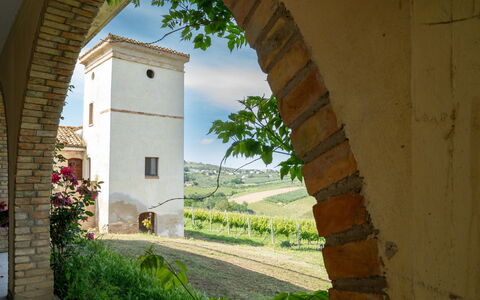 Accommodatie:&nbsp;Torretta 648.4