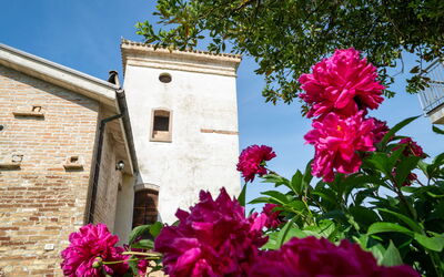 Accommodatie:&nbsp;Torretta 648.4