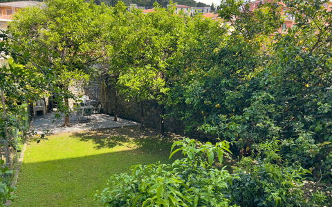 Corso Roma 15 Vacanze - Levanto: Blad, Vegetation, Struik, Tuin, De Lente, Woody Plant, Schaduw, Landscaping, Backyard, Gang