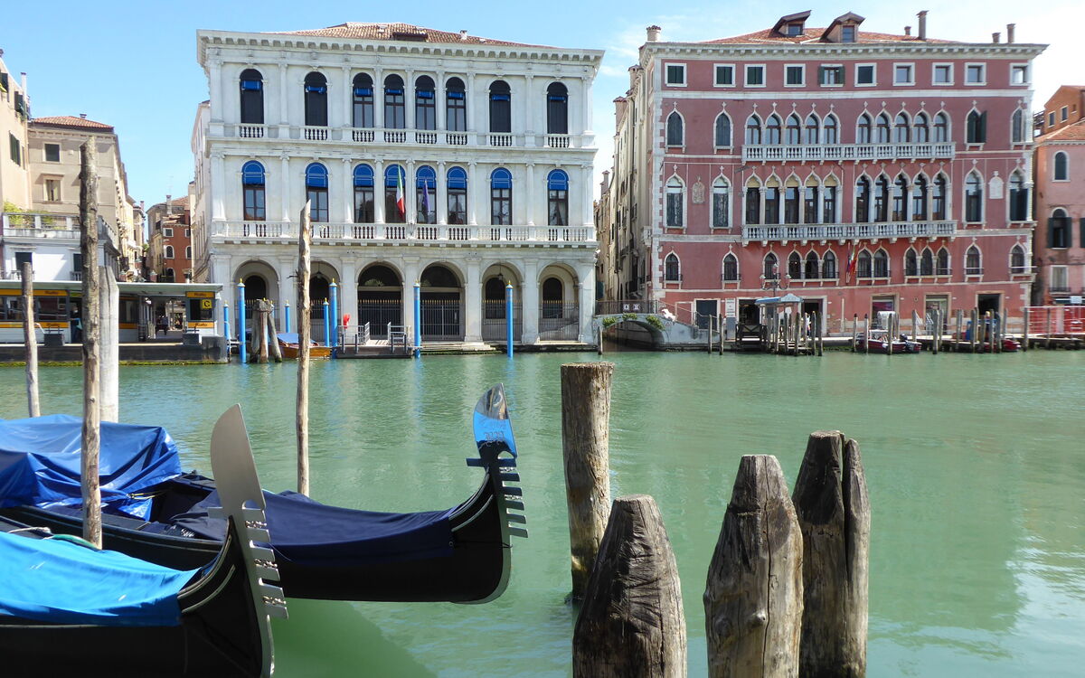 Venice Photobirding, Nature And Culture