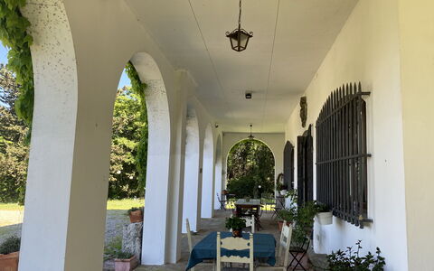 Villa Albertina: Boog, Kolom, Deur, Hacienda, Schaduw,  Passage\, Veranda, Landgoed, Kamerplant, Werf