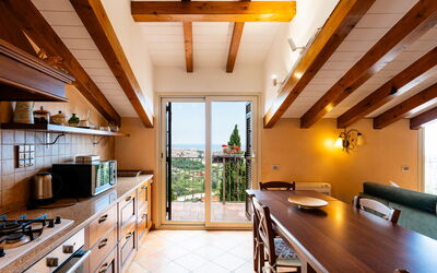 Accommodatie:&nbsp;Pineland Mansarda 603.1