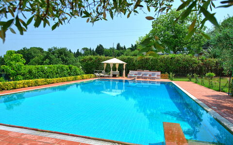 Villa Adriana: Zwembad, Toevlucht, Vrije Tijd, Eco Hotel, Tuin, Schaduw, Hacienda, Waterpartij, Landscaping, Buitenmeubels